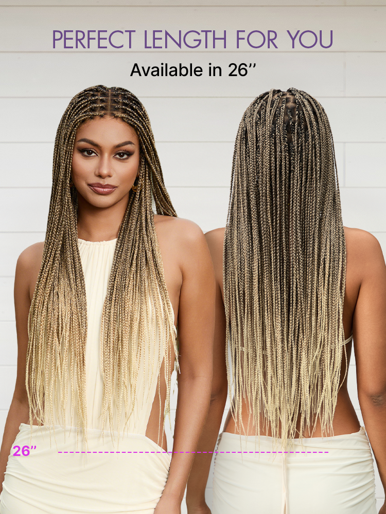 🏆🔥Last Day: 58% Off🔥 Salon Braids HD Lace Knotless Wig ✨