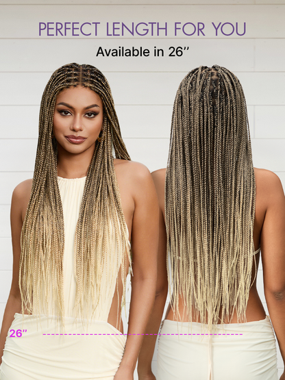 🏆🔥Last Day: 58% Off🔥 Salon Braids HD Lace Knotless Wig ✨